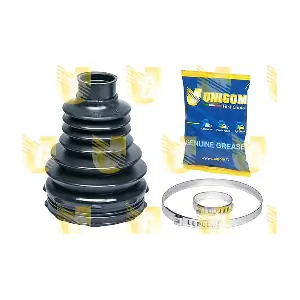 300136H.2 UNIGOM