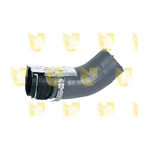 R4207 UNIGOM