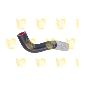 P2226 UNIGOM