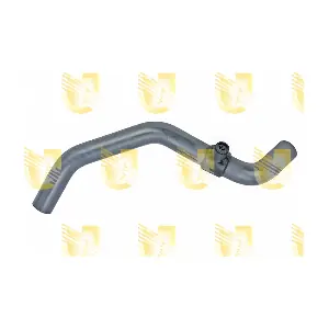 P6237 UNIGOM