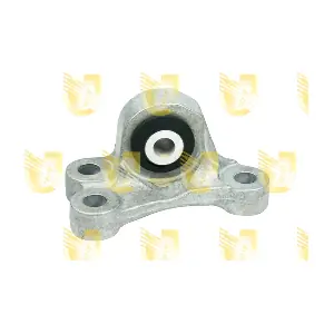 395679 UNIGOM