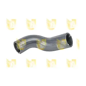 S1231 UNIGOM