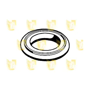 166009 UNIGOM