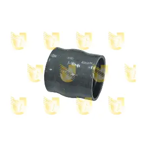 P2086 UNIGOM