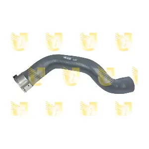 S1543 UNIGOM