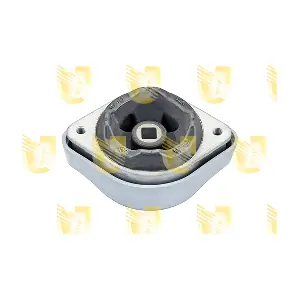 396868 UNIGOM