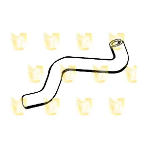 1060 UNIGOM