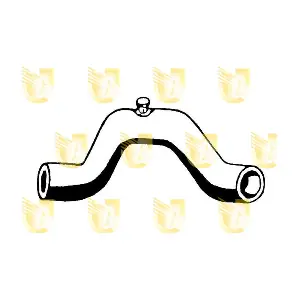 R4252 UNIGOM