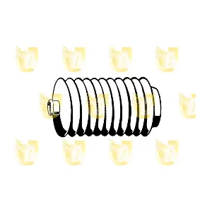 300029 UNIGOM