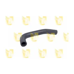 R4298 UNIGOM