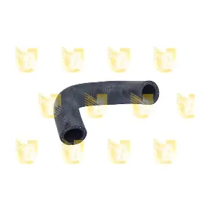 P2078 UNIGOM