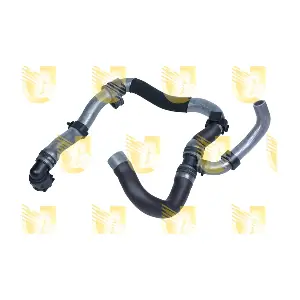 W8463 UNIGOM