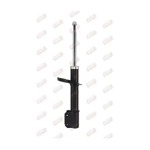 C28538 LTM