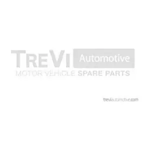 TREVI AUTOMOTIVE TRTT2650