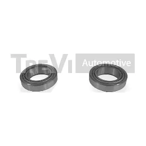TREVI AUTOMOTIVE WB1536