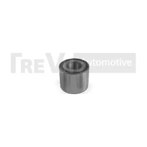 TREVI AUTOMOTIVE WB2165