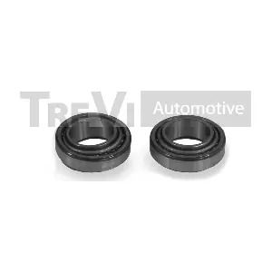 TREVI AUTOMOTIVE WB1721