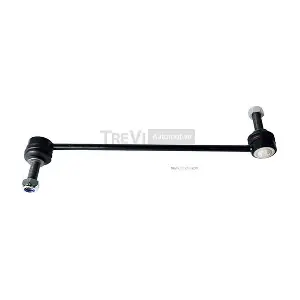 TREVI AUTOMOTIVE TRTT2258