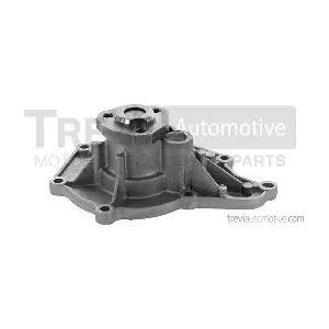 TP1079 TREVI AUTOMOTIVE