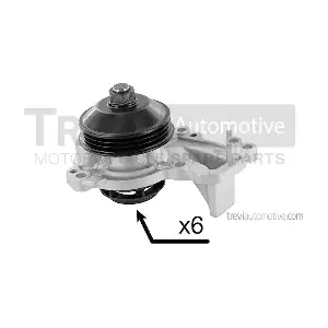 TREVI AUTOMOTIVE TP1339