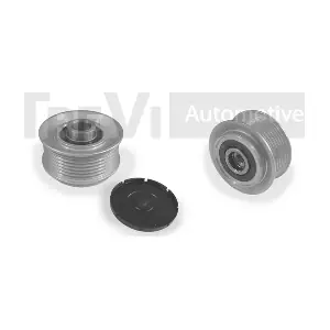 TREVI AUTOMOTIVE AP1113