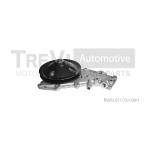 TREVI AUTOMOTIVE TP650