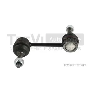 TREVI AUTOMOTIVE TRTT2131