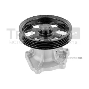 TREVI AUTOMOTIVE TP818