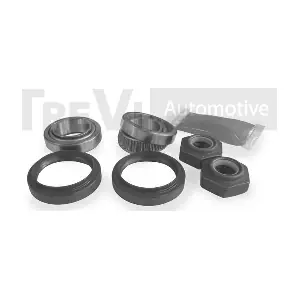 TREVI AUTOMOTIVE WB2096