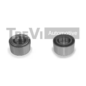 TREVI AUTOMOTIVE WB1091