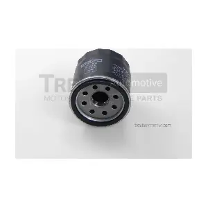 TREVI AUTOMOTIVE TRFO036