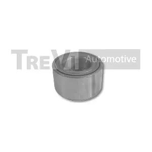 TREVI AUTOMOTIVE WB2174