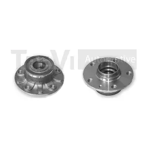 TREVI AUTOMOTIVE WB2100