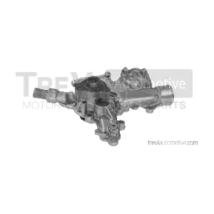 TREVI AUTOMOTIVE TP829