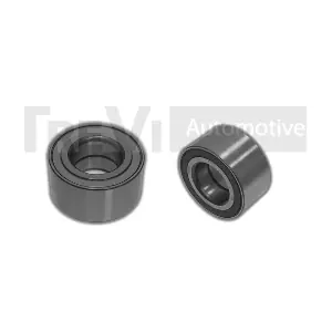 TREVI AUTOMOTIVE WB2303
