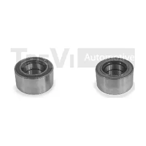 TREVI AUTOMOTIVE WB1666