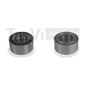 TREVI AUTOMOTIVE WB1685