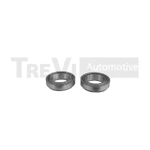 TREVI AUTOMOTIVE WB2060