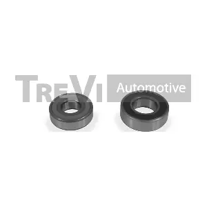TREVI AUTOMOTIVE WB1374