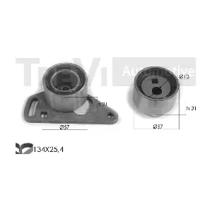 083129 TREVI AUTOMOTIVE