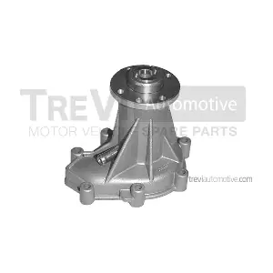 TREVI AUTOMOTIVE TP548