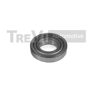 TREVI AUTOMOTIVE WB1385