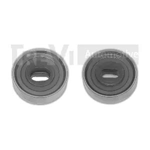 TREVI AUTOMOTIVE TD1383