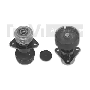 TREVI AUTOMOTIVE AP1078