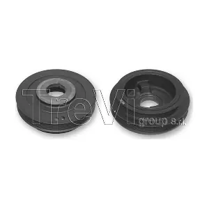 PC1031 TREVI AUTOMOTIVE