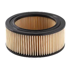 PC19 ACDelco