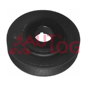 RT1519 AUTLOG