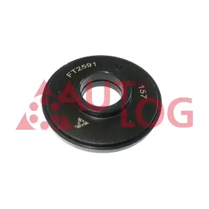 FT2591 AUTLOG