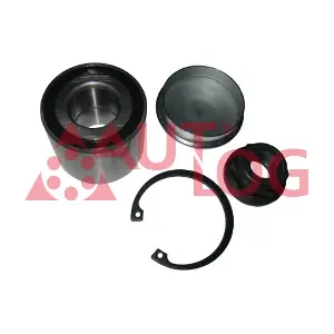 RS1301 AUTLOG