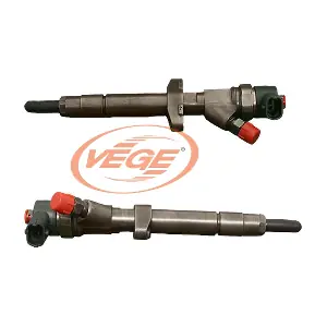 00844910 VEGE